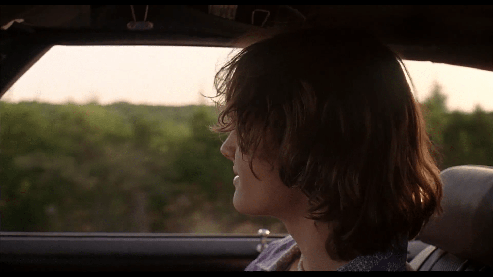 Dazed & Confused.png