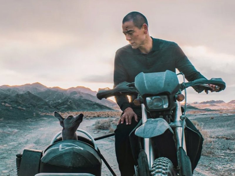 Black Dog: to those who seek a new path in&nbsp;life